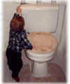 Flush1.jpg (8997 bytes)